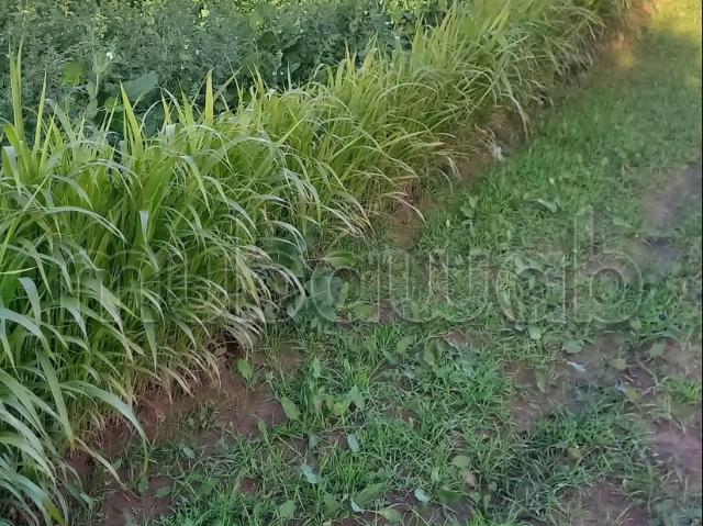 Ferme vente à Sidi Allal El Bahraoui