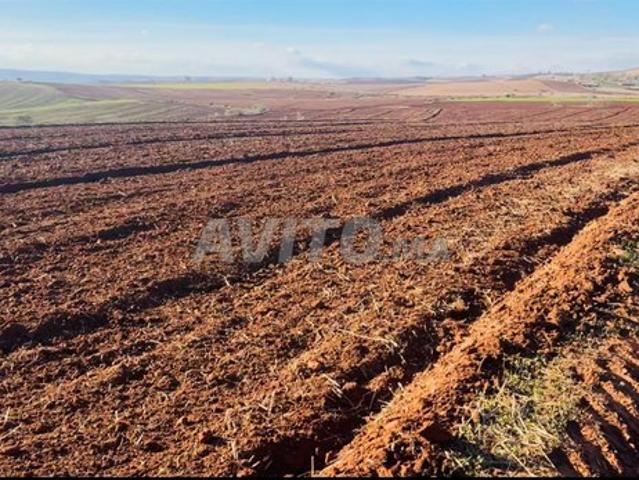 Propriété vente à Lyautey