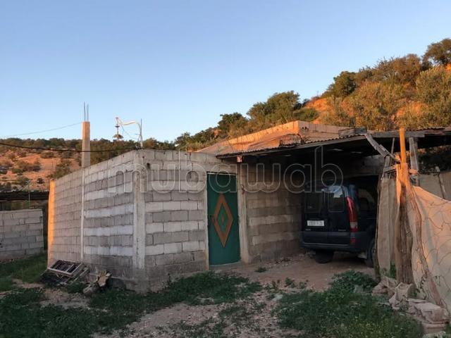 Terrain vente à Oued ed Dahab-Lagouira
