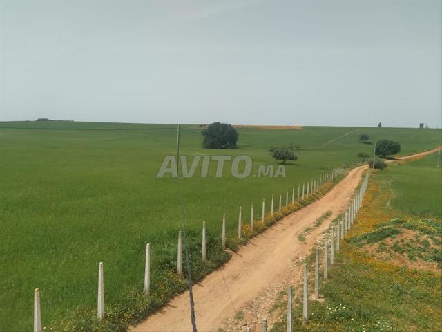 Propriété vente à Khémisset