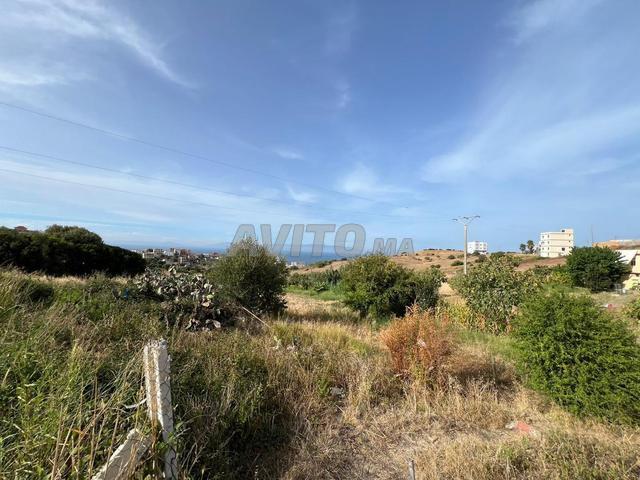 Propriété vente à El Fahs, Tanger-Tétouan