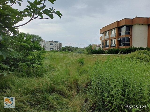 Çinarcik, Yalova içerisinde satılık Arsa