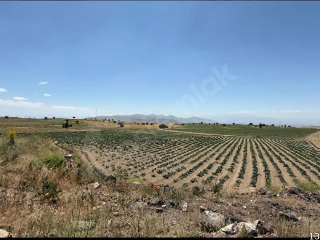 Develi, Kayseri içerisinde satılık Arsa