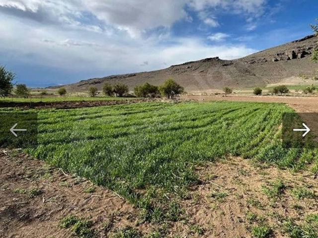 Develi, Kayseri içerisinde satılık mülk