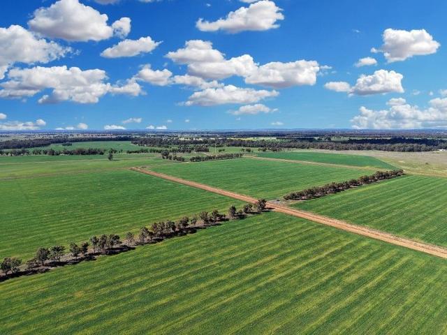 Cottage for sale in New South Wales