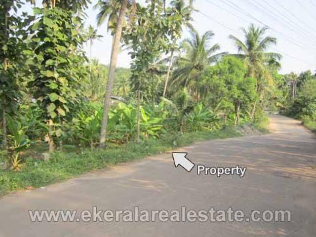 Land for sale in Kollam, Kerala