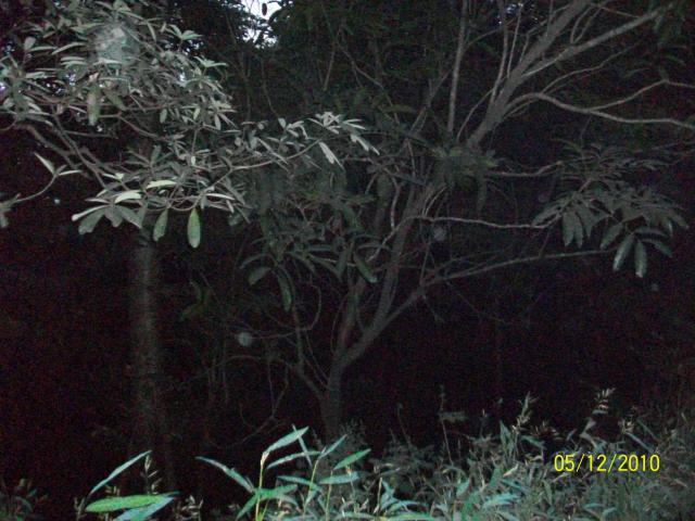 Land for sale in Kollam, Kerala