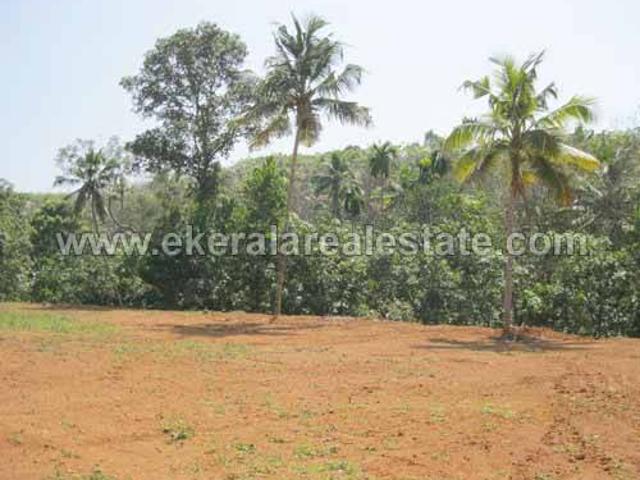Land for sale in Kollam, Kerala
