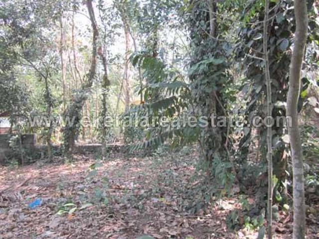 Land for sale in Kollam, Kerala