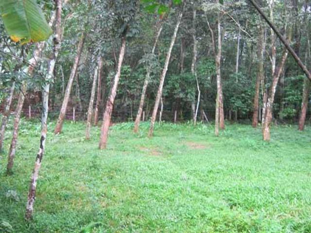 Land for sale in Kottayam, Kerala