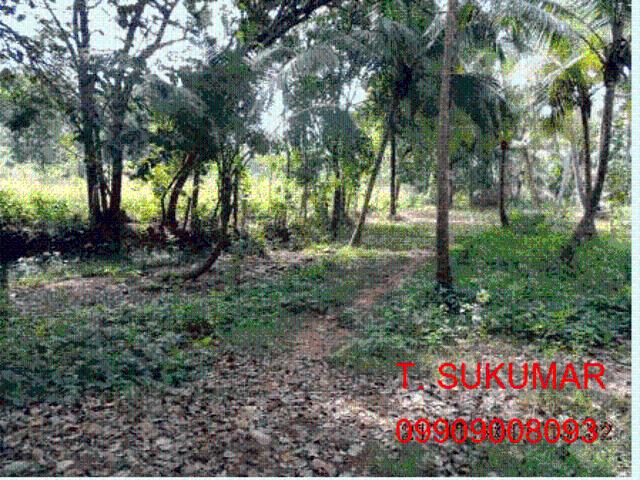 Land for sale in Palakkad, Kerala