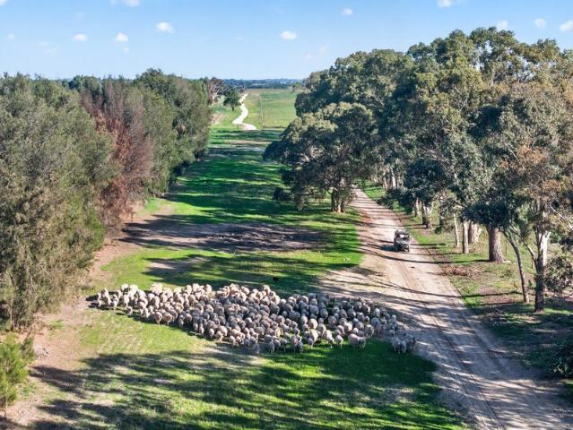 Property for sale in Keith, South Australia