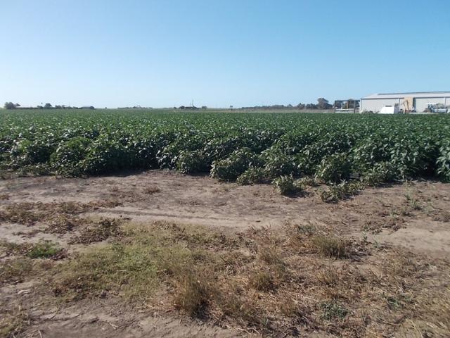 Property for sale in Ayr, Queensland