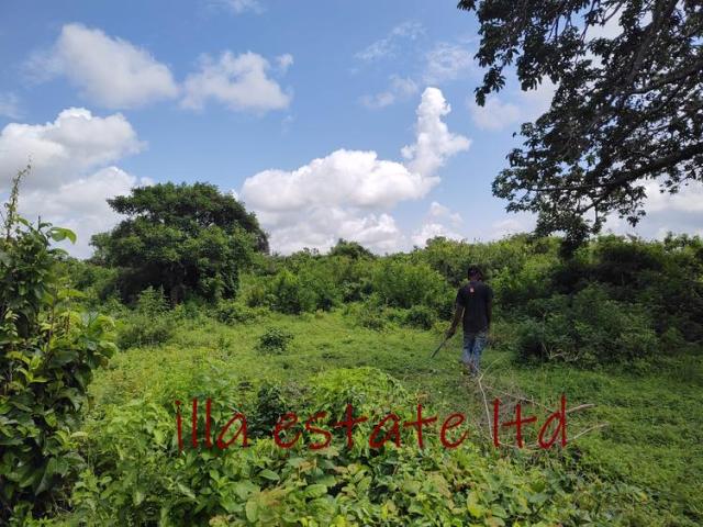 Land for sale in Msambweni, Ukunda