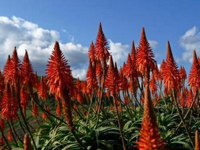 Commercial Land for sale in Mossel Bay