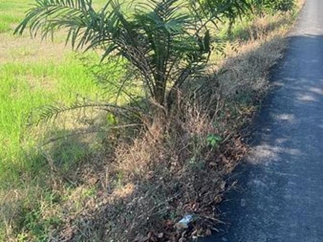 Shop for sale in Bagan Serai, Negeri Perak