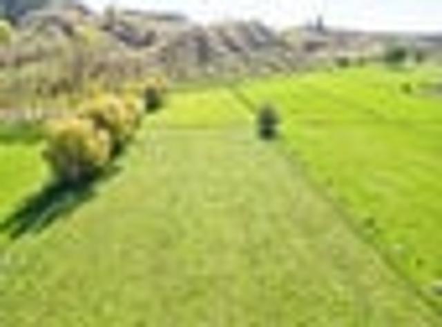 Land for sale in Wanganui District