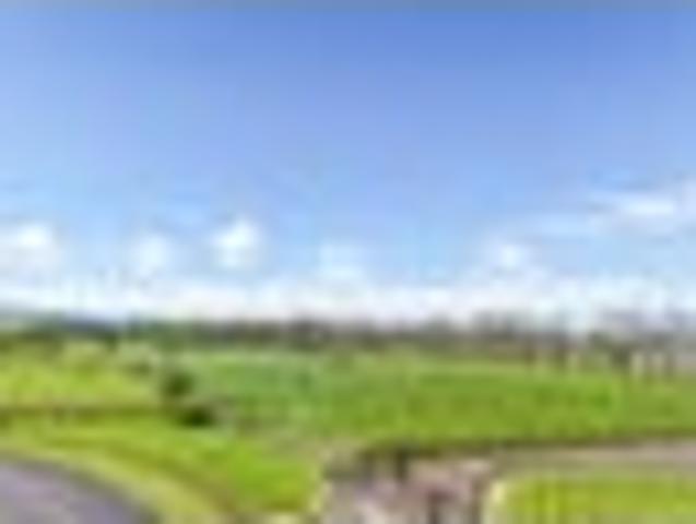 Land for sale in Matamata, Waikato