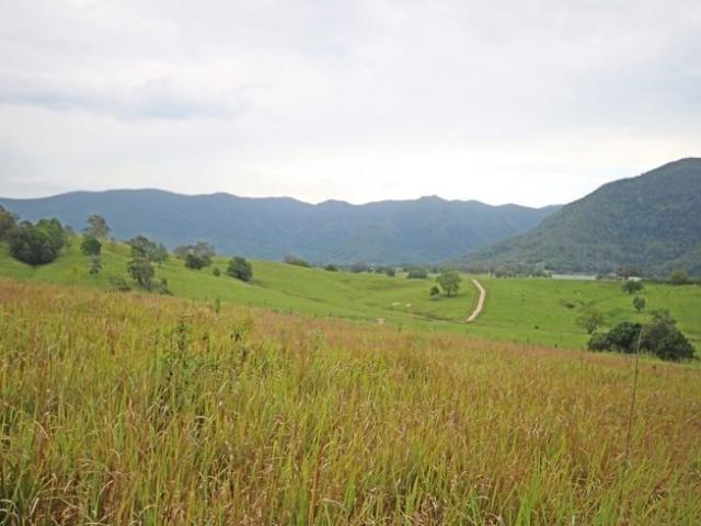 House for sale in Tyalgum, New South Wales