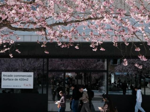 Büro mieten in Les Mayens-de-Sion, Wallis