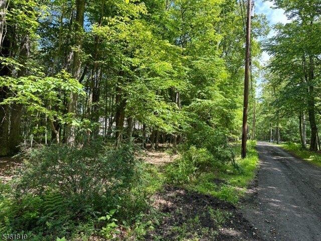 Land for sale in Abertown, Sandyston Township