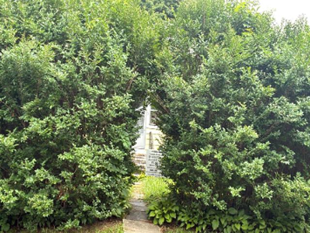 House for sale in Norwalk, Connecticut