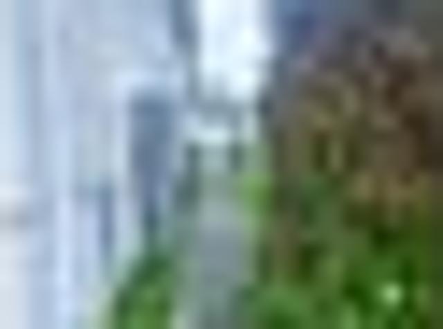 Apartment for rent in Devonport