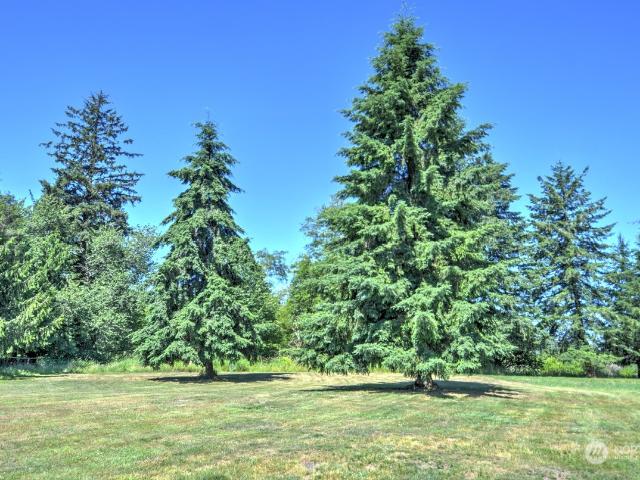Land for sale in Montesano, Washington