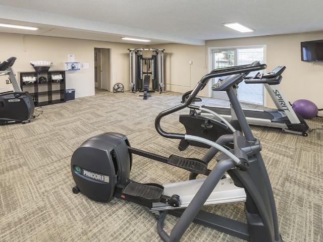 Apartment for rent in Colorado Springs