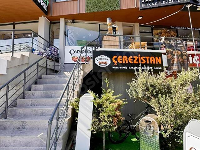 Atakum, Samsun içerisinde satılık mülk