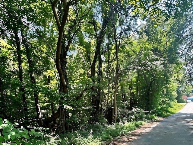 Land for sale in Lewisville, North Carolina