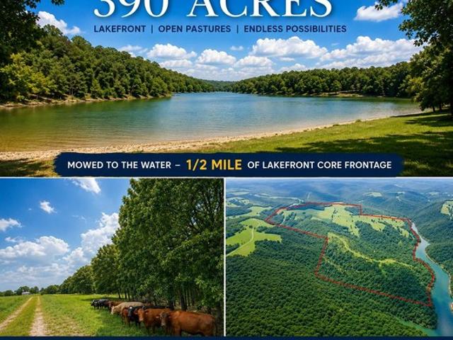 Land for sale in Blue Eye, MO, Stone County