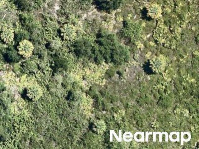 Land for sale in Florida