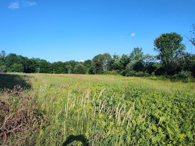 Land for sale in Saint Albans, Maine
