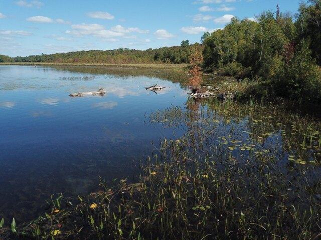 Land for sale in Saint Albans, Maine