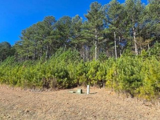 Land for sale in Blairsville, Georgia