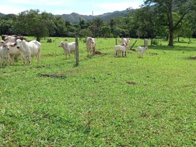 Sítio e chácara venda em Região Geográfica Imediata de Águas Lindas de Goiás, Região Integrada de Desenvolvimento do Distrito Federal e Entorno