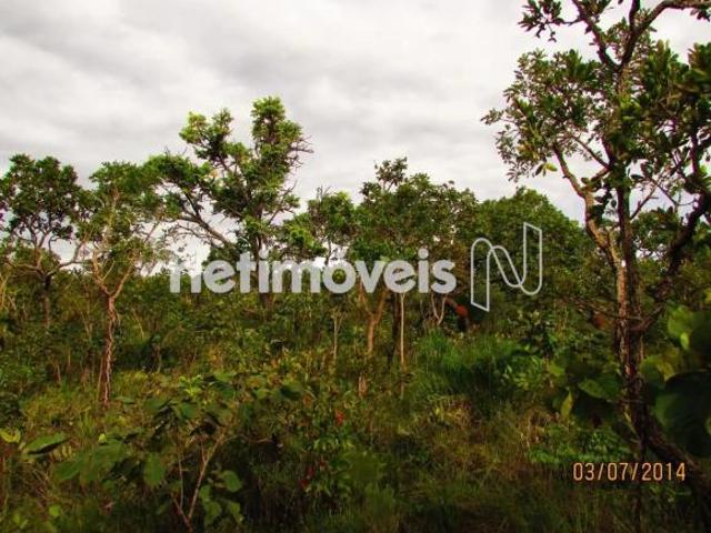 Sítio e chácara venda em Região Geográfica Imediata do Distrito Federal, Região Integrada de Desenvolvimento do Distrito Federal e Entorno