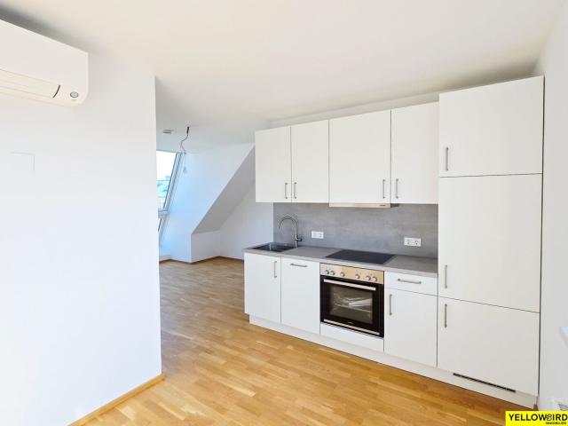 Wohnung kaufen in Seestadt, Wien
