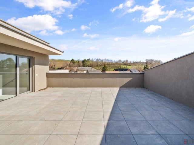 Apartment kaufen in Obersdorf, Wolkersdorf im Weinviertel
