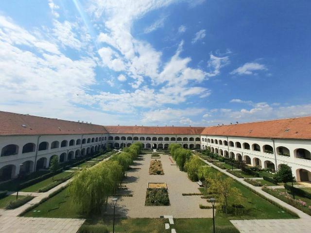 Apartment mieten in Neusiedl am See, Burgenland