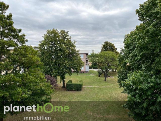 Apartment kaufen in Auersthal, Niederösterreich