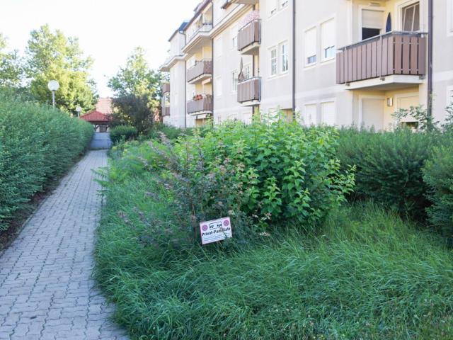 Apartment mieten in Tulln an der Donau, Niederösterreich