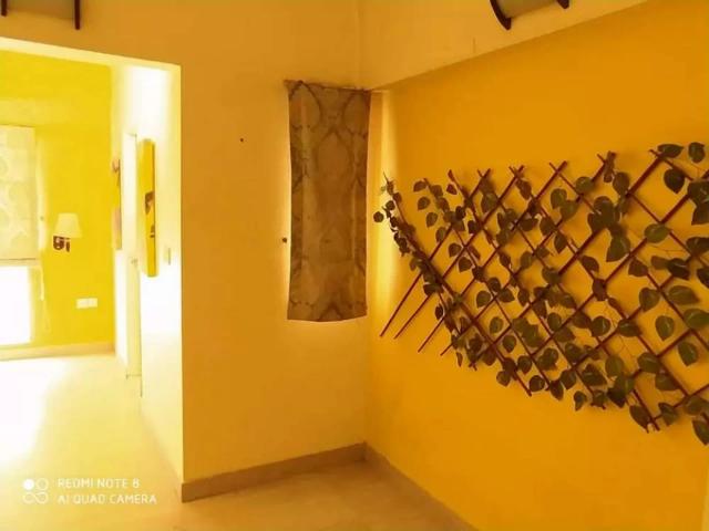 Apartment for rent in North Waziristan, Federally Administered Tribal Areas fata