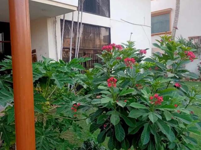House for rent in SMCHS Block A, کراچی ڈویژن