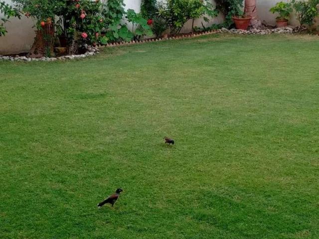 House for rent in کراچی ڈویژن, North Waziristan