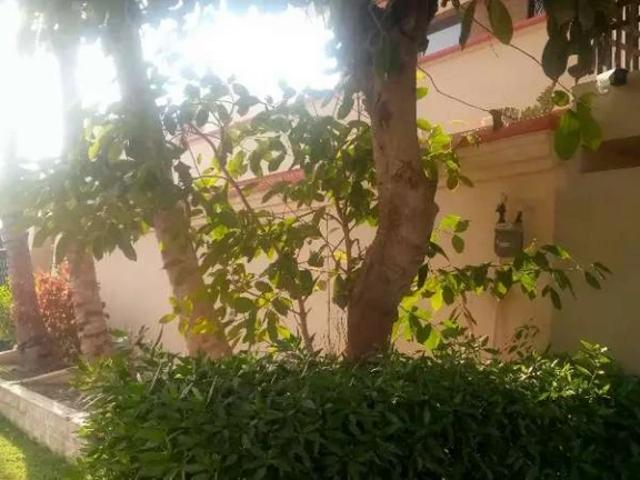 House for rent in North Waziristan, Federally Administered Tribal Areas fata