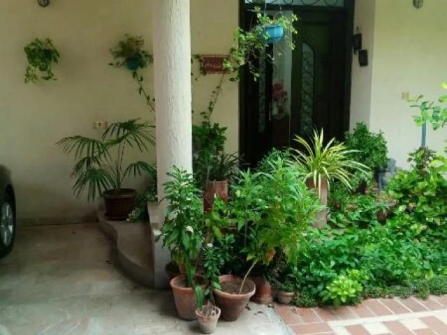 House for sale in North Waziristan, Federally Administered Tribal Areas fata