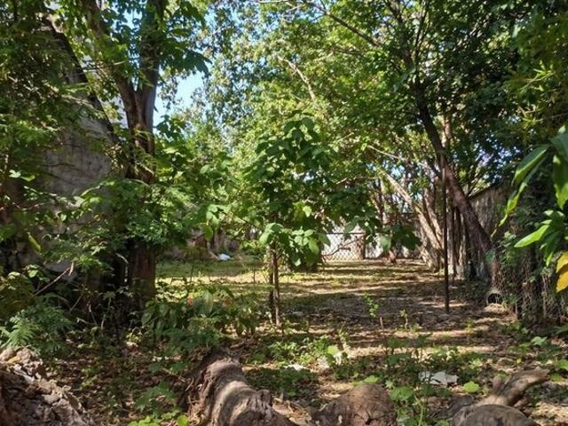 Land for sale in Kedarpur, Uttarakhand