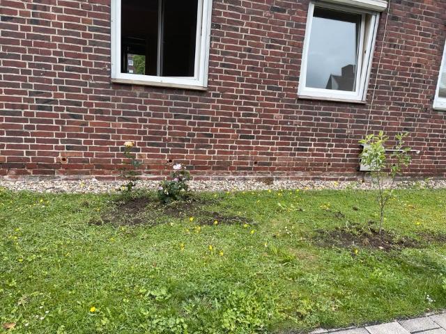 Haus kaufen in Handorf, Munster